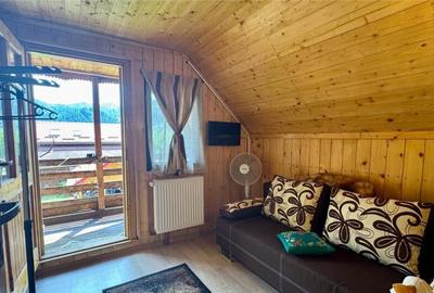 FILM3D!Cocheta casuta, mobilata, accesorizata, garaj, gradin - 3