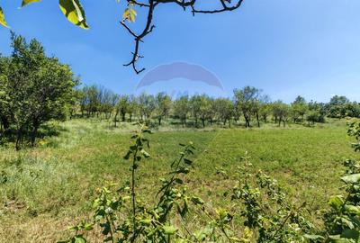 Teren Construcții intravilan de 3864 mp, în Central - 4