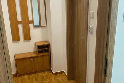 Garsonieră semidecomandată în Aradului - 9