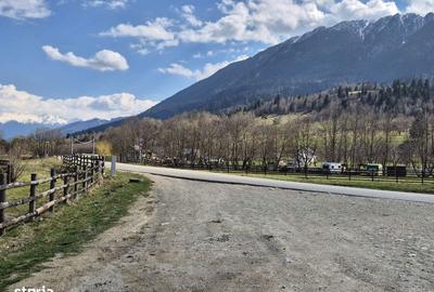 Spațiu comercial, în Plaiul Foii - 1