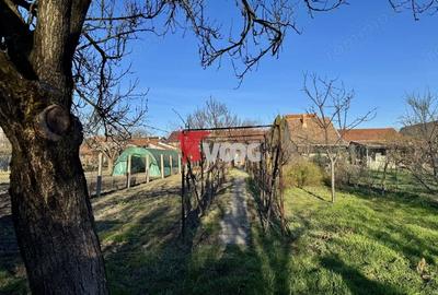 Casă în Iosefin - 2