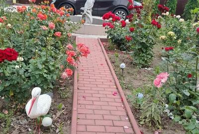 Casă cu 5 camere în Exterior Vest - 19