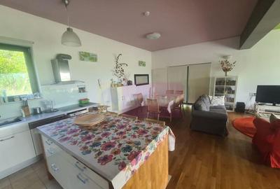 Vila de vanzare cu 6 camere in Cornu (teren 6.600 mp) - 10