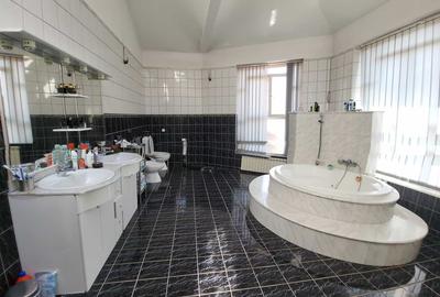 Vila exclusivista, padurea Dumbrava - 15