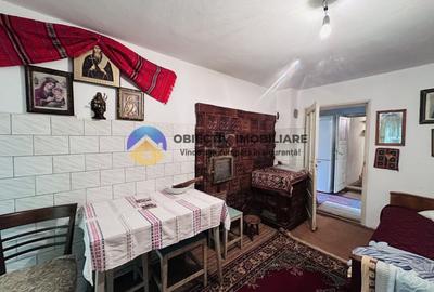 Casa traditionala Bodesti - 11