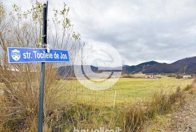 Teren intravilan in Tocile - 4354 m² - 2 fronturi - oferta competitiva - 14