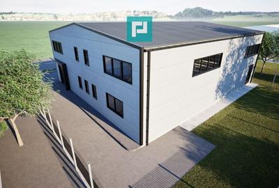 Hală industrială nouă în Ghiroda - 4