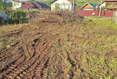 Teren de 1311 mp, în Dâmbu - 6