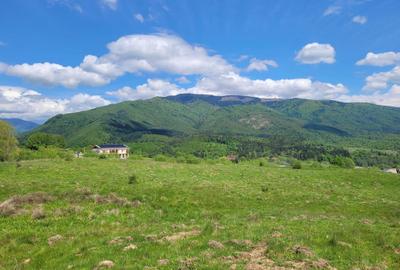 Spațiu comercial, în Nucșoara - 2