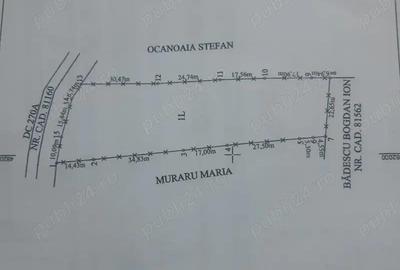 Teren de vanzare in Bradulet Arges - 13