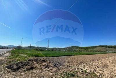 Teren de 1600 mp, în Cristian - 3