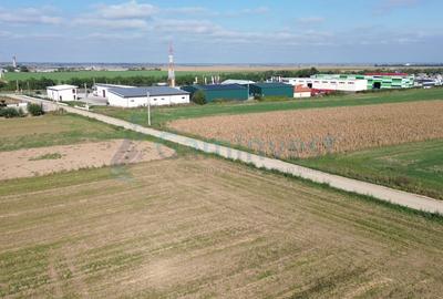 Gaminvest Teren intravilan de vanzare, 66400 mp, langa Oradea, Bihor ,V4117 - 7
