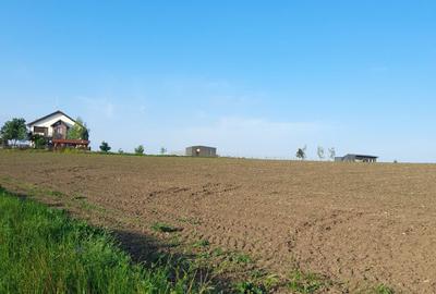 Spațiu comercial, în Berceni - 2