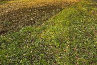 Casă cu 3 camere în Mădrigești - 1