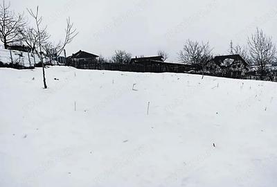 Teren de 1400 mp, în Cetate - 4