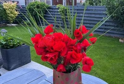 Vilă Individuală de Lux - 4