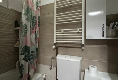 Apartament 2 camere, decomandat, mobilat si utilat, zona Iosefin - 8