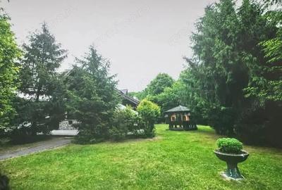 Spațiu comercial, de 700 mp, în Tăuții-Măgherăuș - 1