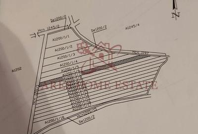 Teren 5.000 mp centura Calea Sagului- Freidorf. Comision 0 - 6
