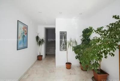 Apartament 3 camere Primaverii Apartament 3 camere Primaverii - 13