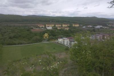 Teren extravilan 3640 mp Strada Stejarului - 6