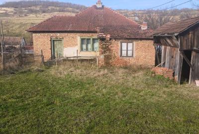 Casă cu 3 camere în Chiochiș - 8