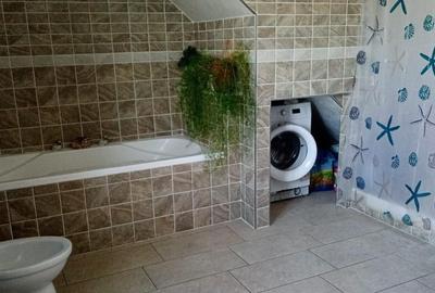 Vila in Rusii Manastioara - 25