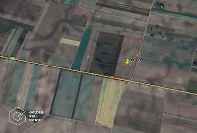 10 ha de teren extravilan la DN 7, Seitin-Nadlac. Oportunitate de investitie! - 2