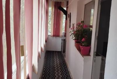 Apartament cu 2 camere, PET FRIENDLY, zona Frumoasa Apartament cu 2 camere, PET FRIENDLY, zona Frumoasa - 5