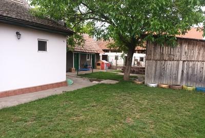 Casă individuală cu 3 camere cu Teren 543 Mp în Becicherecu Mic - 9