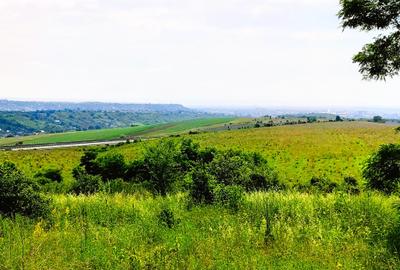 28.554 mp TEREN EXTRAVILAN, TURDA - SĂNDULEȘTI, jud. CLUJ, 300 m de AUTOSTRADA - 25