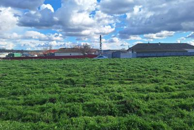 Teren Construcții de 3046 mp, în Mihail Kogălniceanu - 1