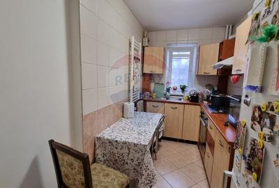 Apartament cu 2 camere semidecomandat, mobilat în Timișoara - 3