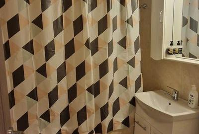 Doua camere, mobilat utilat, zona Piata Brotacei - 7