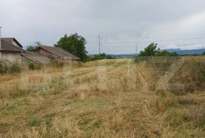 Teren de 6000 mp, în Turda - 6