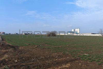 Teren Construcții intravilan de 15600 mp, în Dragomirești-Deal - 4