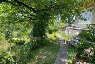 Casă cu 2 camere cu Teren 9500 Mp în Sacoșu Mare - 3