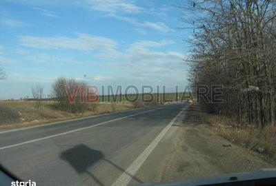 Spațiu comercial, în Belciugatele - 3