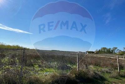 Teren 2,500mp Malu Mare / Strada Bisericii - 3