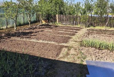 Casă cu 3 camere cu Teren 2700 Mp în Ciurari - 1