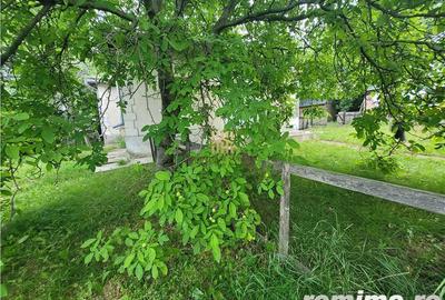 Casă cu 3 camere cu Teren 7000 Mp în Zvoriștea - 5