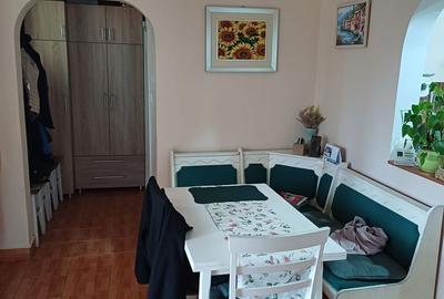 Casă cu 3 camere cu Teren 1938 Mp în Ernei - 10