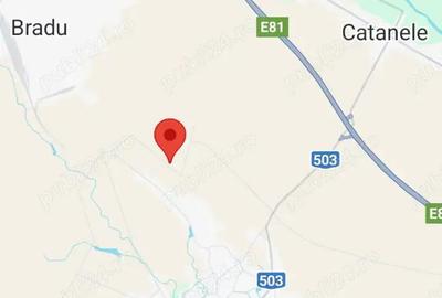 Teren de 10000 mp, în Oarja - 1