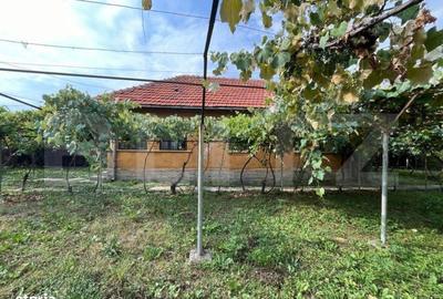 Casă cu 3 camere în Scoarța - 7