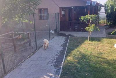 Casă cu 3 camere cu Teren 1000 Mp în Central - 5