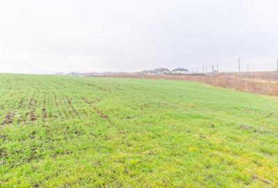 CERNICA - POSTA - TEREN INTRAVILAN CONSTRUCTII 15000 MP! - 12