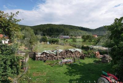 Doua case + anexa, teren 1655mp, Vama Buzaului (Acris) Doua case + anexa, teren 1655mp, Vama Buzaului (Acris) - 15