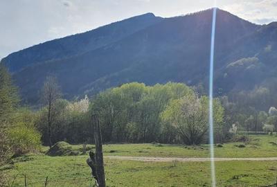 Teren de 8674 mp, în Padeș - 3