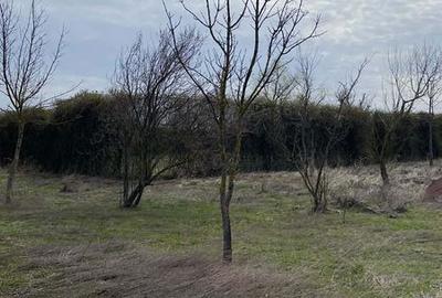 Casă cu 4 camere cu Teren 230 Mp în Letca Nouă - 3