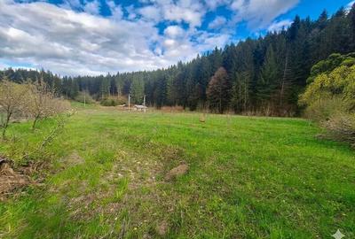 Teren de 21000 mp, în Slatina - 7